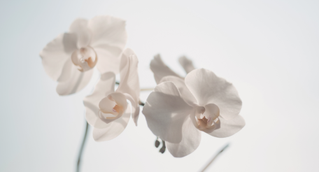 Кто мы такие или знакомство c НЕ-факерами